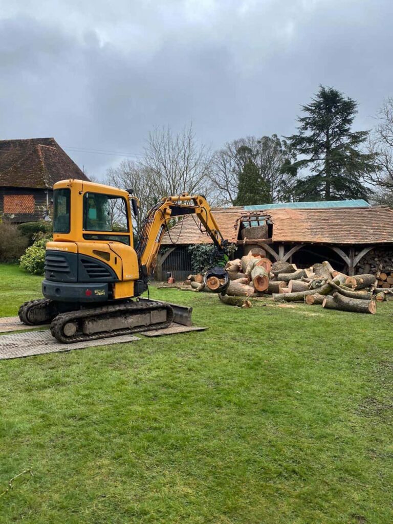 This is a photo of a tree which has grown through the roof of a barn that is being cut down and removed. There is a digger that is removing sections of the tree as well. Finedon Tree Surgeons