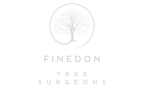 Finedon Tree Surgeons